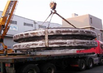 Expansion Joint